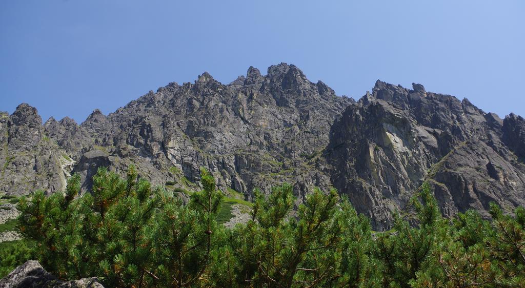 Studio Livia Vysoké Tatry Eksteriør billede